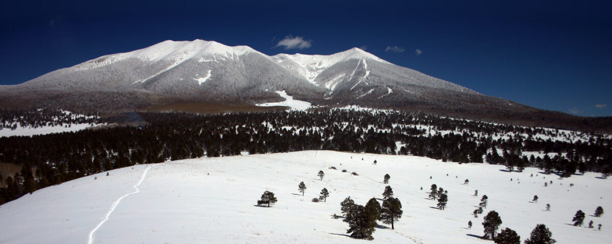 Record Breaking Snowfall In Flagstaff | BuzAz.Org