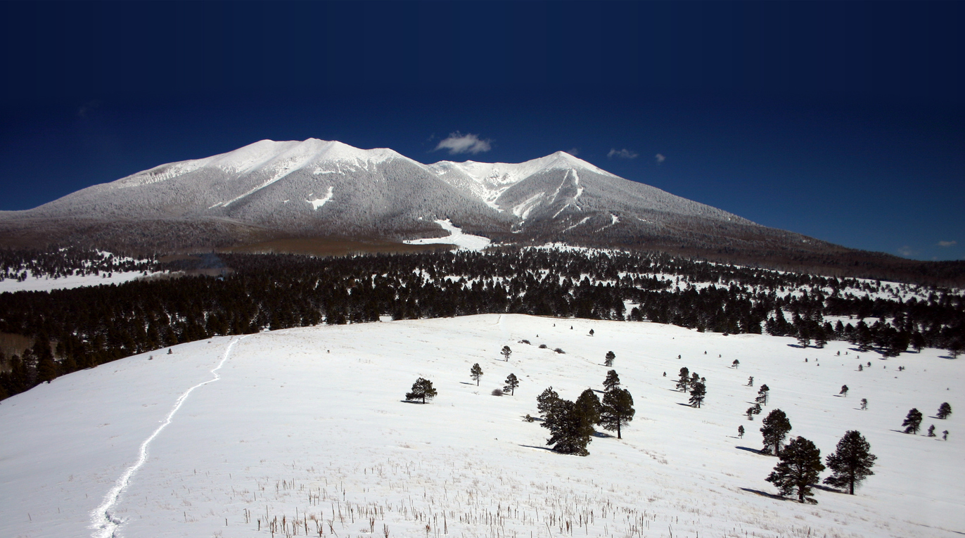 Record Breaking Snowfall In Flagstaff BuzAz