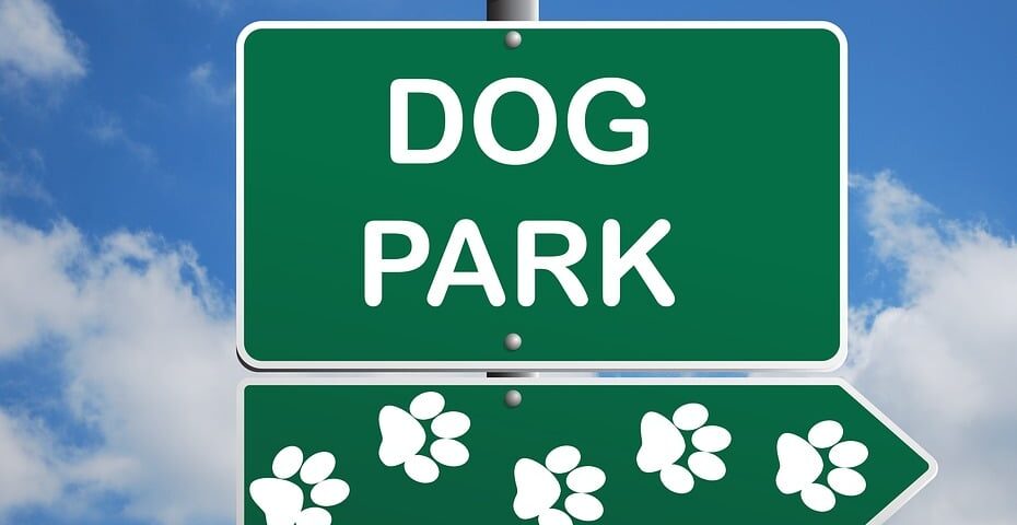 Dog Parks And Other New Projects | BuzAz.Org