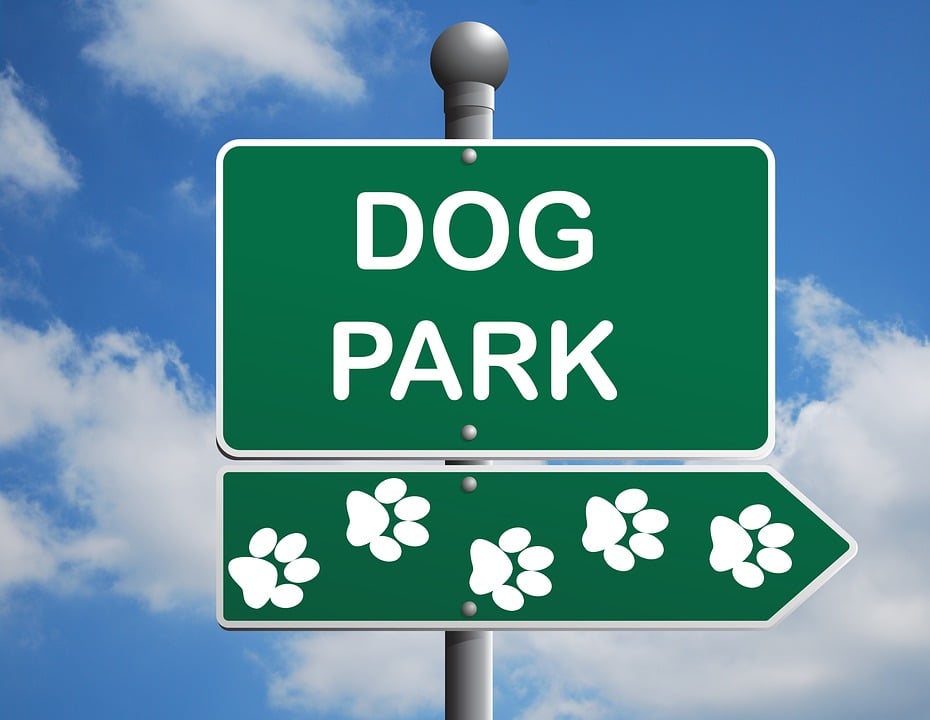 Dog Parks And Other New Projects | BuzAz.Org